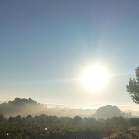 Gites A Moussan ,Domaine De La Barque A 5 Mins De Narbonne Экстерьер фото