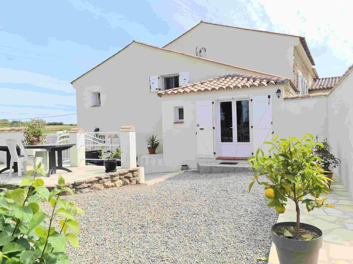 Gites A Moussan ,Domaine De La Barque A 5 Mins De Narbonne Экстерьер фото