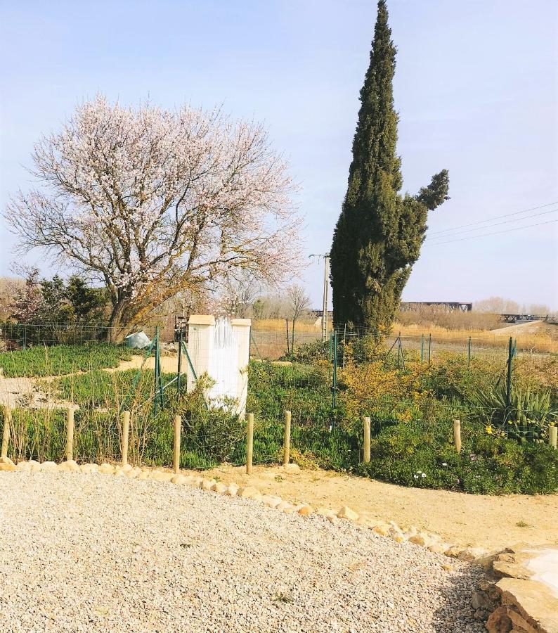 Gites A Moussan ,Domaine De La Barque A 5 Mins De Narbonne Экстерьер фото