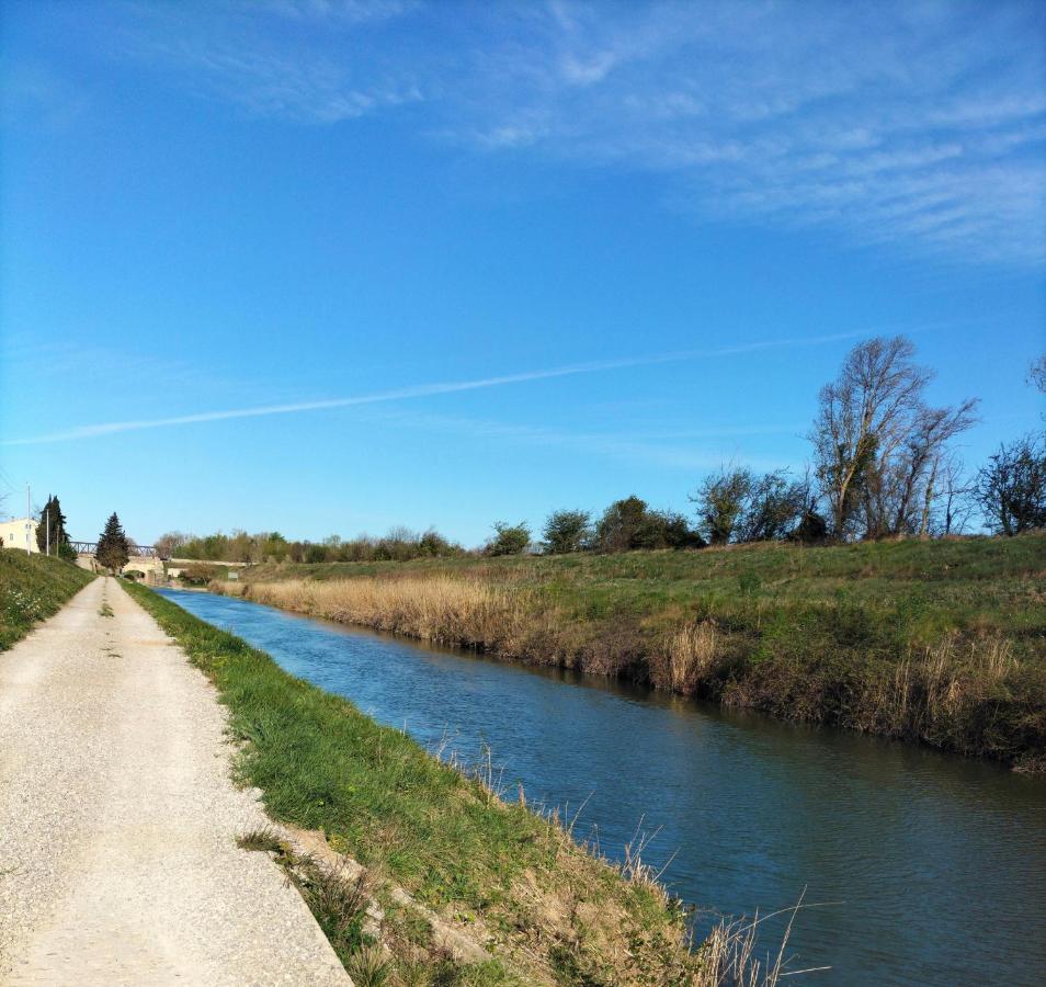 Gites A Moussan ,Domaine De La Barque A 5 Mins De Narbonne Экстерьер фото